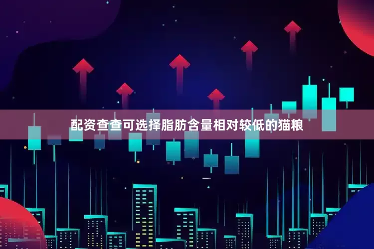 配资查查可选择脂肪含量相对较低的猫粮