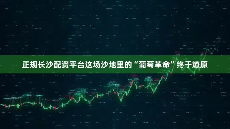 正规长沙配资平台这场沙地里的“葡萄革命”终于燎原