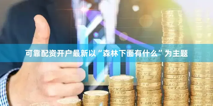 可靠配资开户最新以“森林下面有什么”为主题
